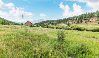 427 Wise Rd, Bailey, CO 80421