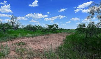 TBD East Tract County Road 356, Anson, TX 79501