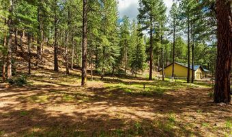12316 County Road 501, Bayfield, CO 81122