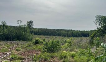 HWY 9, Banner, MS 38913
