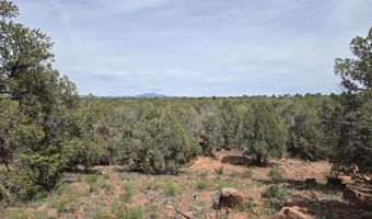 61 Raney Rd, Ash Fork, AZ 86320