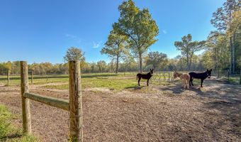 2970 Cooktown Rd, Bainbridge, GA 39817