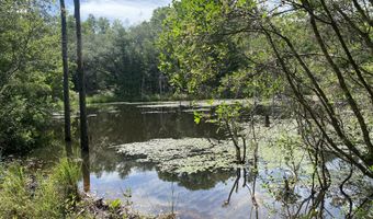 20 Acres Canyon Trl, Baker, FL 32531