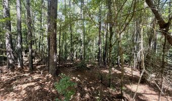 Norman Trail NW, Brookhaven, MS 39601