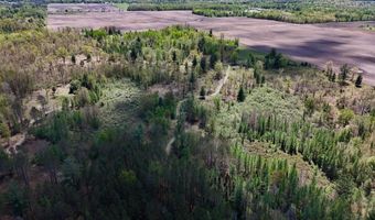 La Grant Road, Alger, MI 48610