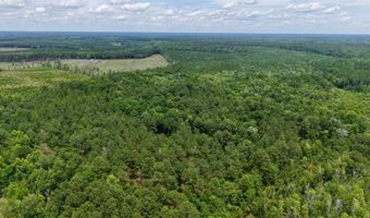 Fox Paw Court, Branchville, SC 29432