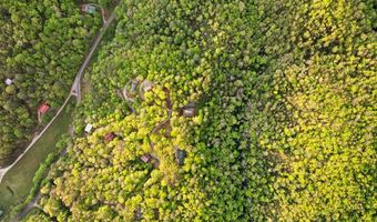273 N Rhododendron Rd, Almond, NC 28702