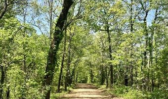 0 County Road 224, Alton, MO 65606