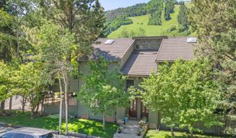 125 E Hyman Ave 1A, Aspen, CO 81611