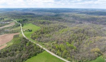 S State Route 555 38.316+- acres, Chesterhill, OH 43728