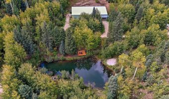62 Forest Rd 76, Angel Fire, NM 87710