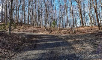 Little Tree Lane, Banner Elk, NC 28604