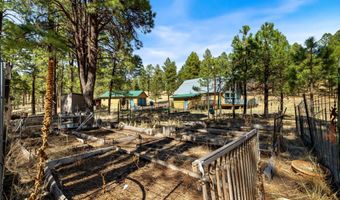 17 County Road 2114, Alpine, AZ 85920
