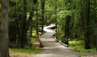 56 Ramble Way, Asheville, NC 28803