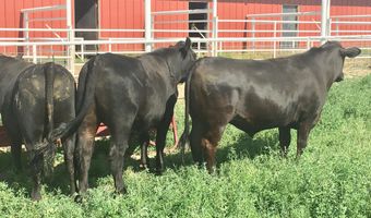 918 ROAD 4990, Bloomfield, NM 87413