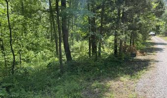 0 94+/- Acres Lakeview Dr, Albany, KY 42602
