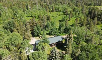 1660 Last Resort Ln, Ashton, ID 83420