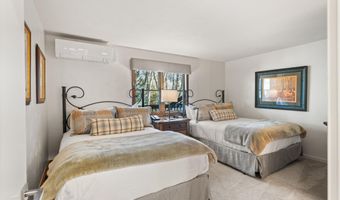 610 S West End St D304, Aspen, CO 81611