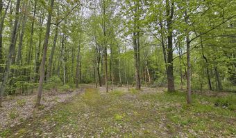 7171 Suerwier, Applegate, MI 48401
