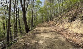 999999 Harwood Rd 2, Barnardsville, NC 28709