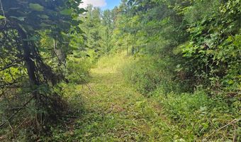 97 Destination Dr, Asheville, NC 28806
