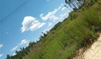 150 Kyle Stains Rd, Baxley, GA 31513