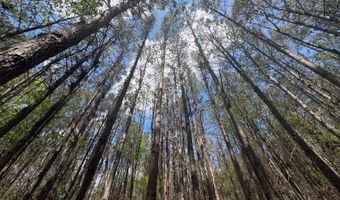 274 CR 3301, Booneville, MS 38829