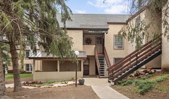 415 Pacific Ave C, Aspen, CO 81611