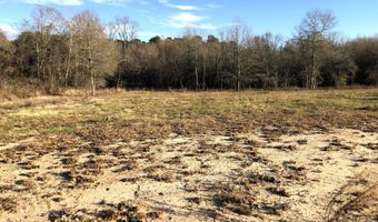 1071 LR 3, Ashdown, AR 71822