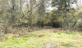 1071 LR 3, Ashdown, AR 71822