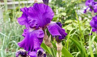 1044 S Liberty Ave, Alliance, OH 44601