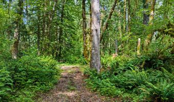 64601 E BRIGHTWOOD LOOP Rd, Brightwood, OR 97011