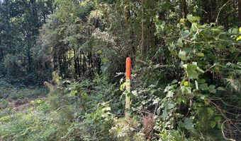 Creek Road lot 5, Ashland, AL 36251