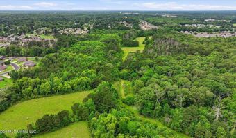 Vine Drive, Brandon, MS 39047