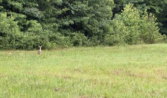 100 Acres Highway 34 W, Beech Grove, AR 72412