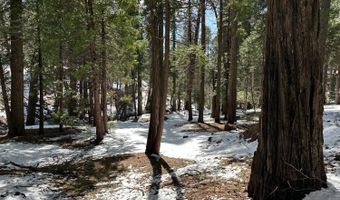 1968 Flamingo Way, Arnold, CA 95223