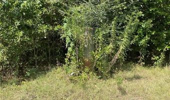 12539 YOUNG Ln, Amite, LA 70422