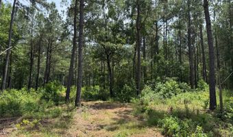 Fox Paw Court, Branchville, SC 29432