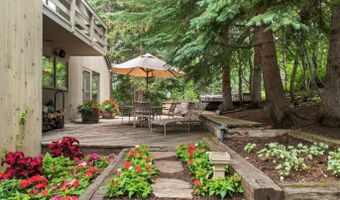 209 Larkspur Ln, Aspen, CO 81611