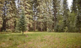 Vallecito Pl, Bayfield, CO 81122