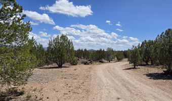 2795 W Poppy Rd, Ash Fork, AZ 86320