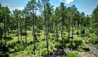 000 William Colvin Rd, Bernice, LA 71222