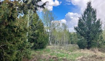 Tbd Aspen Heights Drive, Ashton, ID 83420