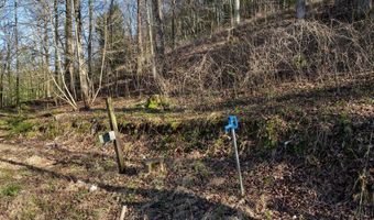 597 COUNTY ROAD 4028, Arley, AL 35541