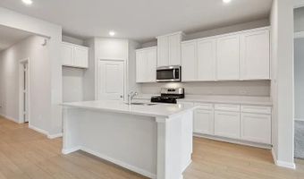 216 Tartane Dr, Anna, TX 75409