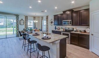 17927 NW 173RD Rd, Alachua, FL 32615