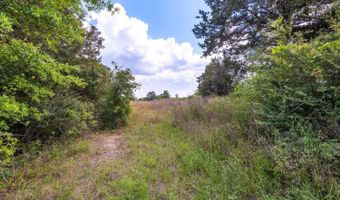 1704 Cobb Rd, Baker, FL 32531