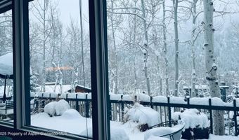 302 Roaring Fork Dr, Aspen, CO 81611