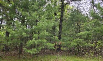 S Badger Lane lot 38, Arkdale, WI 54613