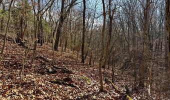 Farm Rd 1187 Lc, Ash Grove, MO 65604